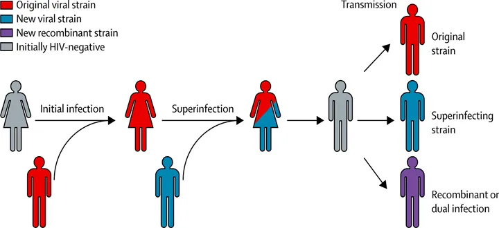 已经感染艾滋病病毒，还会再次感染吗？超感染危害很大吗？